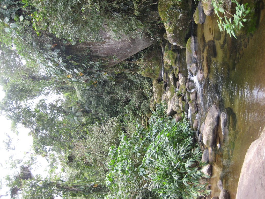 White Stone waterfall