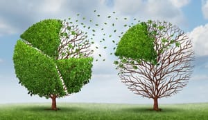 market share illustration with trees