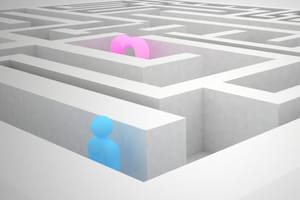 Maze to the heart